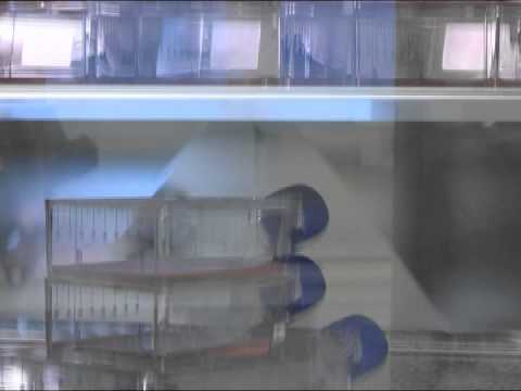 Биоклиник-ORIFLAME/Bioclinic Stockholm.