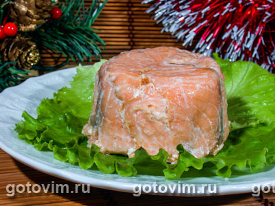 Террин из красной и белой рыбы